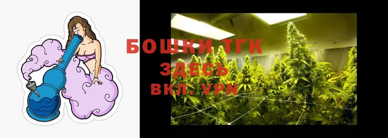 Конопля THC 21%  где купить   Красавино 